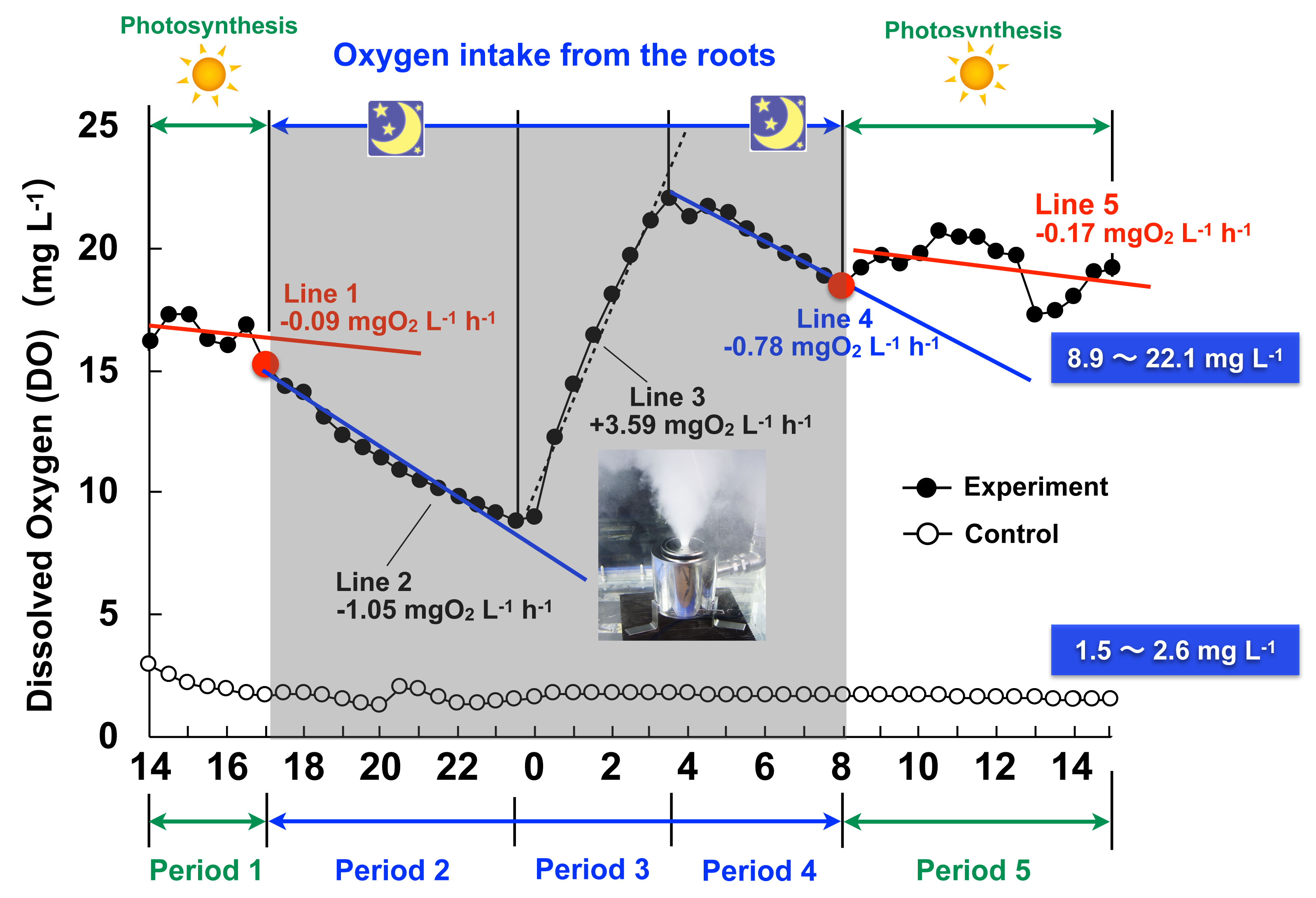 Oxygen fluctuation in the experiment